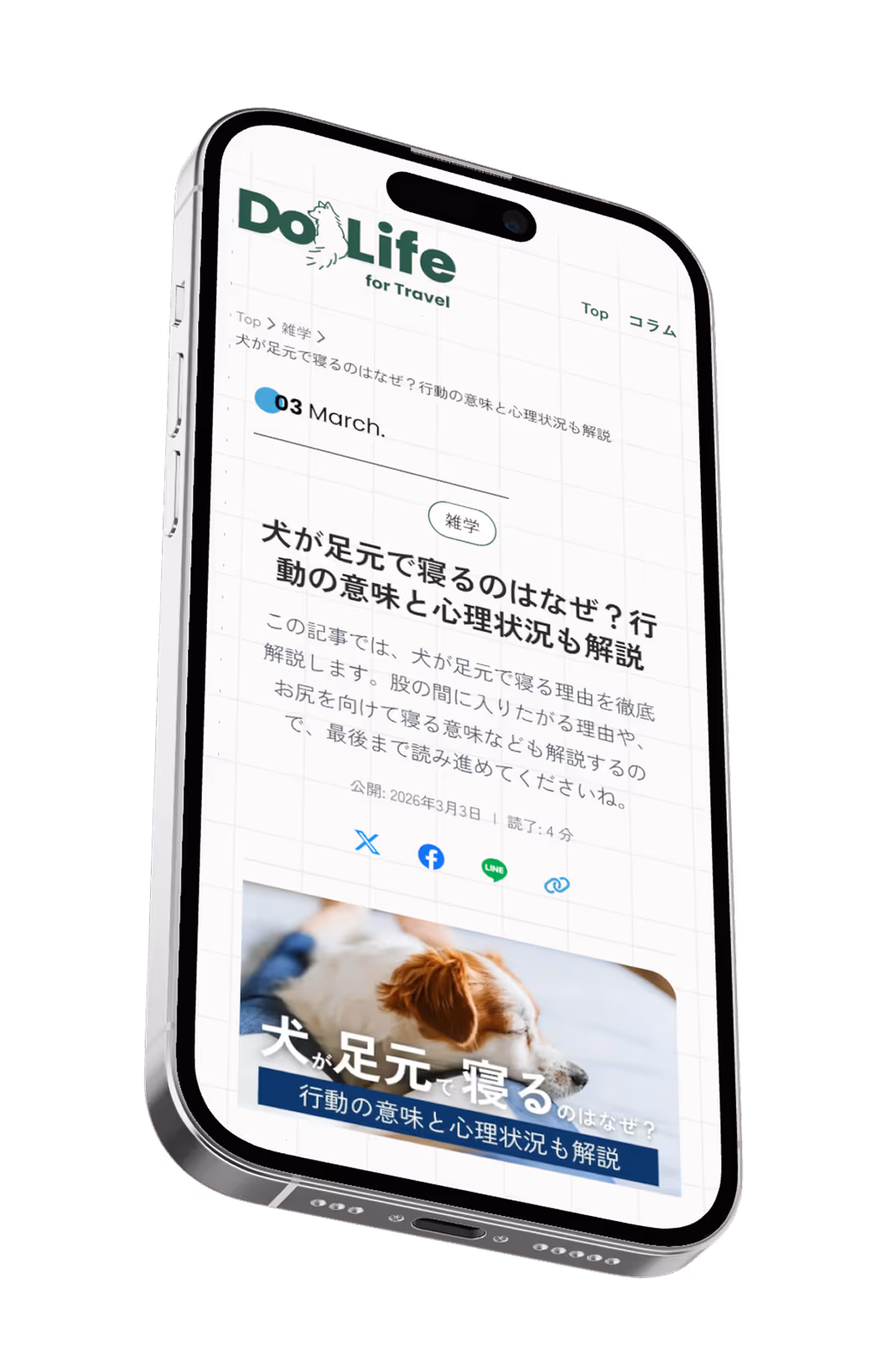 DogLife Column